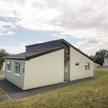 Harcombe House Bungalow 9 نيوتن أبوت المظهر الخارجي الصورة